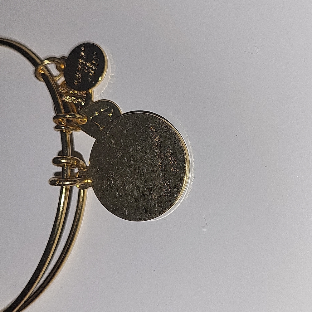 Alex And Ani Toast champagne glasses, Unircorn & You Are Enough Bracelet Set - Picture 3 of 6